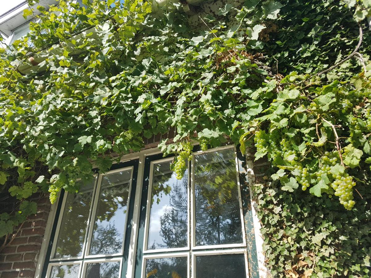 B&B De Panheide Hooghalen Exterior photo